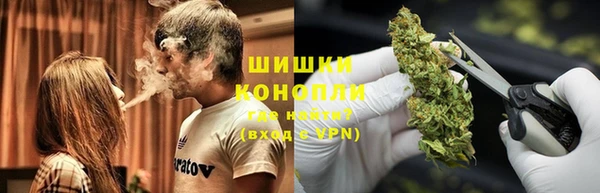 ешки Алексин