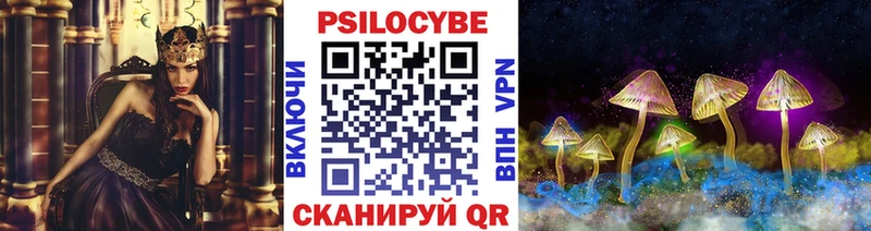 Псилоцибиновые грибы Psilocybe закладка Шарья